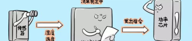娱乐吃瓜冷知识,一场社会现象的深度解析