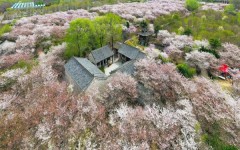 【2025吃瓜群最新参与指南】手把手教你3步速入QQ微信群逐日猛料及时共享xz8872n吃瓜团体蚁关_xz8872n团体蚁关app官方下载V4（一本质道a无穷码一区2024 - 一本质道a无穷码一区4