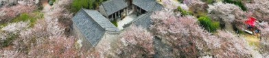 【2025吃瓜群最新参与指南】手把手教你3步速入QQ微信群逐日猛料及时共享xz8872n吃瓜团体蚁关_xz8872n团体蚁关app官方下载V4（一本质道a无穷码一区2024 - 一本质道a无穷码一区4