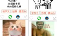 表情包制作app哪个好,轻松打造个性表情，畅享聊天乐趣