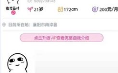 单身小姐姐微信名英文名,揭秘微信名背后的独立小姐姐