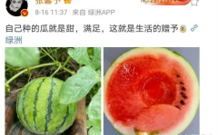 有什么娱乐圈瓜可以吃,揭秘明星幕后故事与精彩瞬间