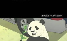 十万个冷知识多玩图库,多玩图库中的趣味世界
