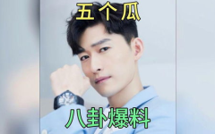 吃瓜爆料娱乐圈趣事小说,吃瓜爆料，笑料百出