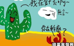 经典冷笑话,经典冷笑话集锦，带你领略幽默的魅力