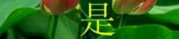 qq表情图片高清大图,捕捉网络文化的瞬间魅力