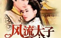 风流太子爷全文阅读,穿越重生，太子与女子的爱恨情仇