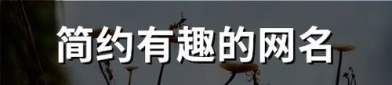搞笑网名能笑死人的简短,盘点那些能笑死人的搞笑网名