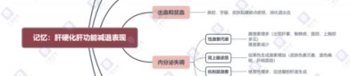 消化系统的组成思维导图,人体消化系统组成与功能解析