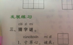 守门员打一字谜底是什么,揭秘“守门员打一字”谜底“闪”的智慧与趣味